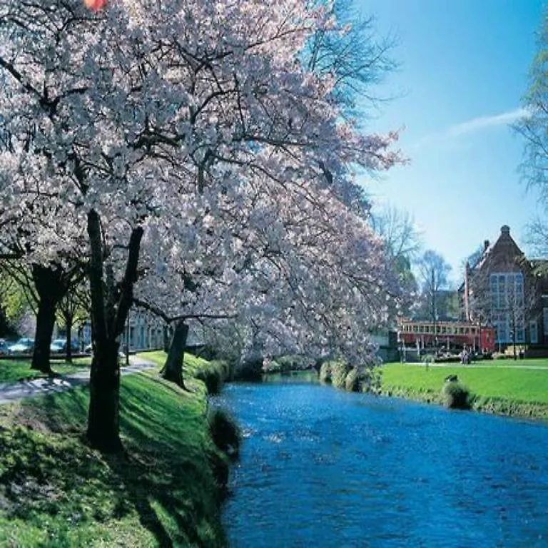 Kiwi Group Accommodations Christchurch Nueva Zelanda